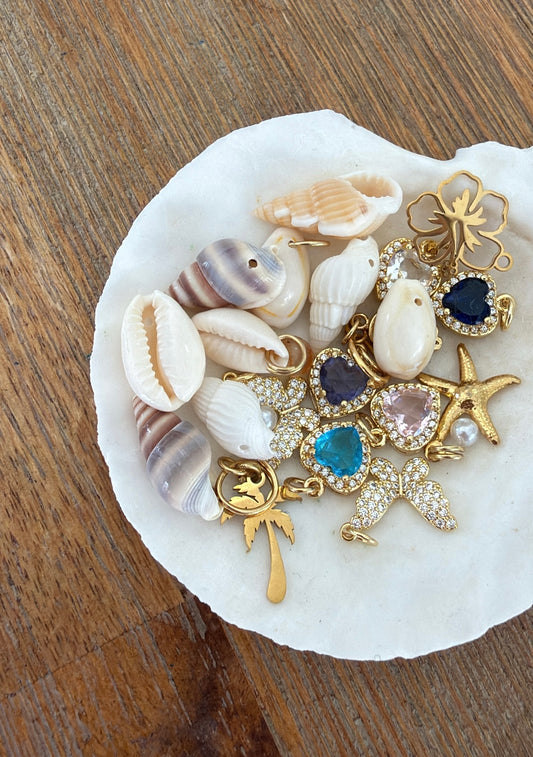 assorted small shells + matching charms