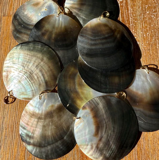 large paua shell