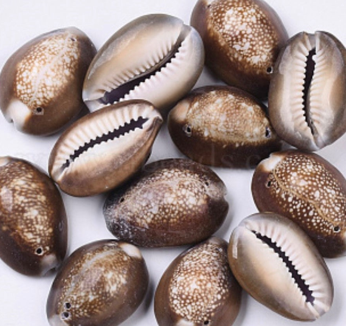 small brown shells (on end of string ties)